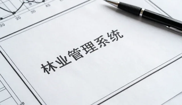 成果转化中的性能优化与适用条件分析